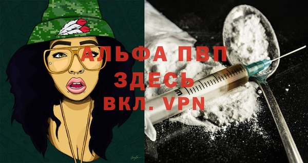 a pvp Абаза