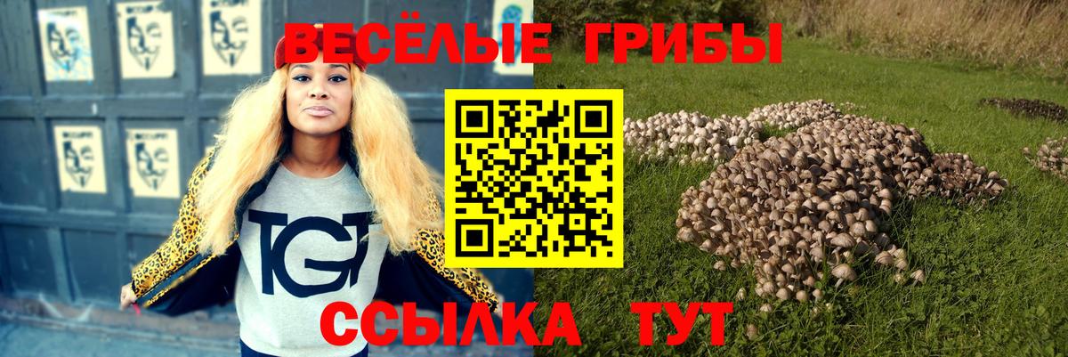 Нижневартовск  Псилоцибиновые грибы GOLDEN TEACHER  как найти наркотики  Вход с VPN 